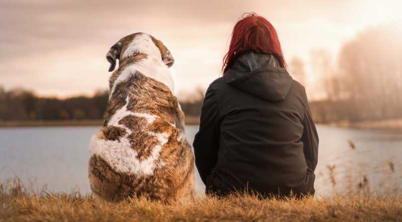 Eine Frau und ein Hund sitzen an einem See und schauen auf das Wasser.
(c) Pixabay.com