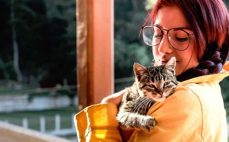 Eine Frau mit einer Katze am Arm.
(c) Pixabay.com