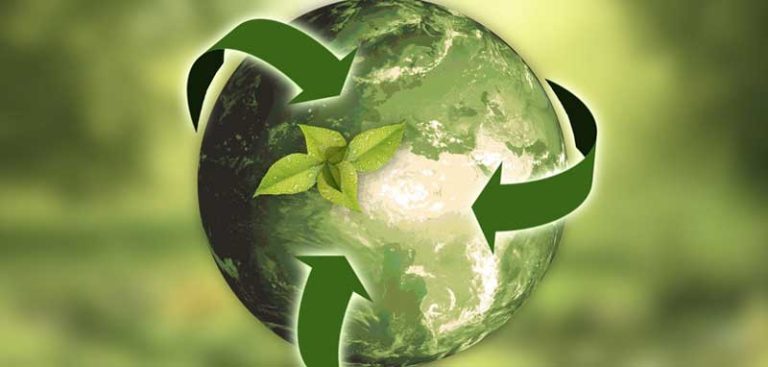 Eine Weltkugel grün eingefärbt mit drei Pfeilen zur Mitte, wo ein kleines Pflänzchen wächst. (c) Pixabay.com