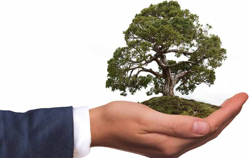 Illustration: Die Hand eines Mannes, der einen Baum hält, Stichwort Natur und Umweltschutz.
(c) Pixabay.com