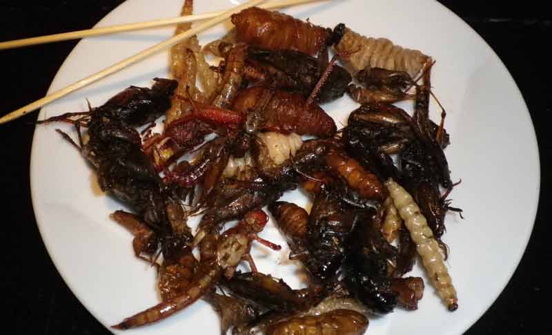 Gegrillte Insekten auf einem Teller.
(c) Pixabay.com