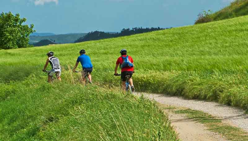 Drei Radfahrer auf einem Feldweg.
(c) Pixabay.com