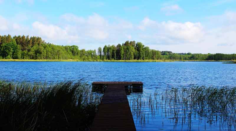 Ein Steg an einem See. Im Hintergrund Wald, Stichwort Wildcampen.
(c) Pixabay.com