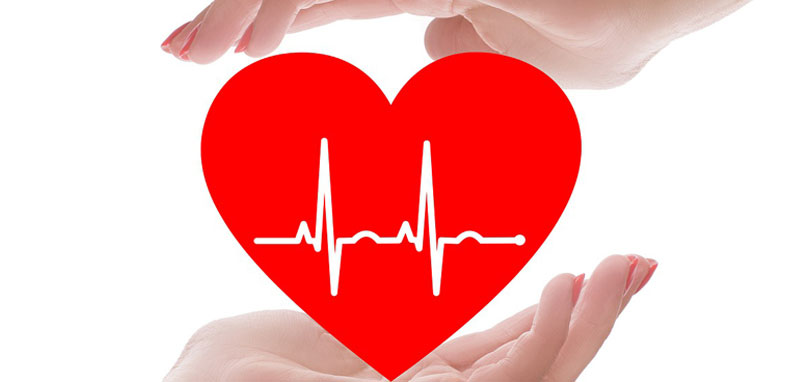 Ein Herz mit einer EKG-Linie, das von zwei Händen oben und unten "behütet" wird. (c) Pixabay.com
