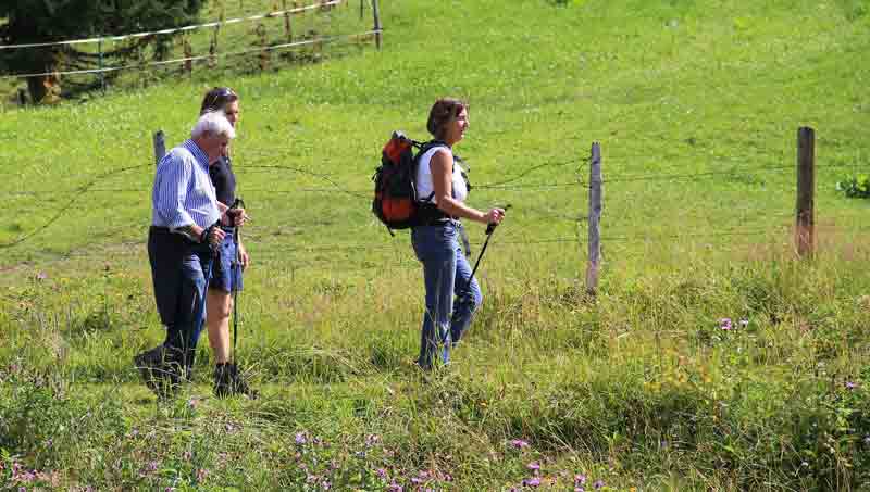 Zwei Frauen und ein alter Mann beim Wandern auf einer Wiese, Stichwort Blasen an den Füßen.
(c) Pixabay.com