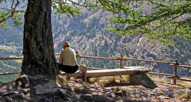 Ein alter Mann auf einer Bank unter einem Baum mit Blick auf ein Tal.
(c) Pixabay.com