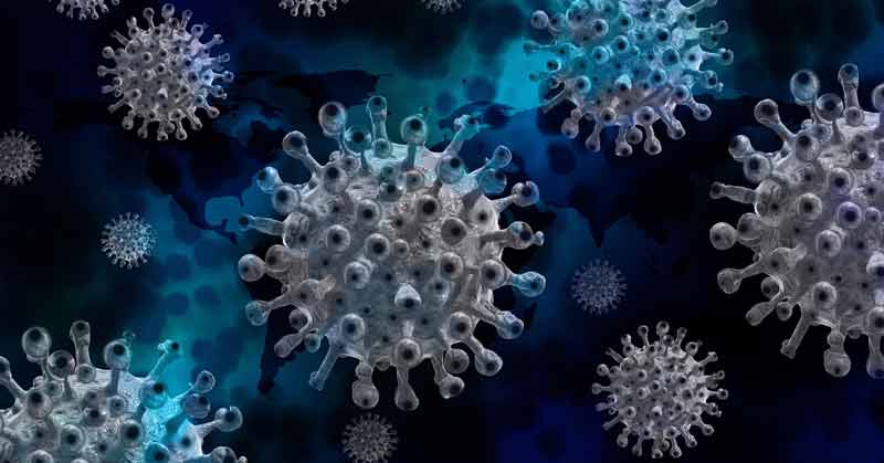 Nahaufnahme von Corona-Viren, Stichwort Erkrankungsformen.
(c) Pixabay.com