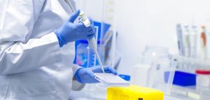 Bill & Melinda Gates: weltweite Kooperation im Kampf gegen Corona Die Hände eines Forschers in einem medizinischen Labor bei seiner Arbeit. (c) Pixabay.com