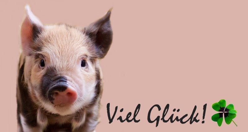 Ein kleines Schwein, daneben "Viel Glück" und ein Kleeblatt.
(c) Pixabay.com