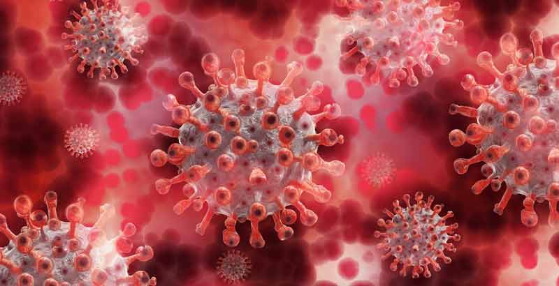 Pflegende in der Corona-Krise: stark gestiegene psychische Belastung 1 Covid-19 Viren.
(c) Pixabay.com