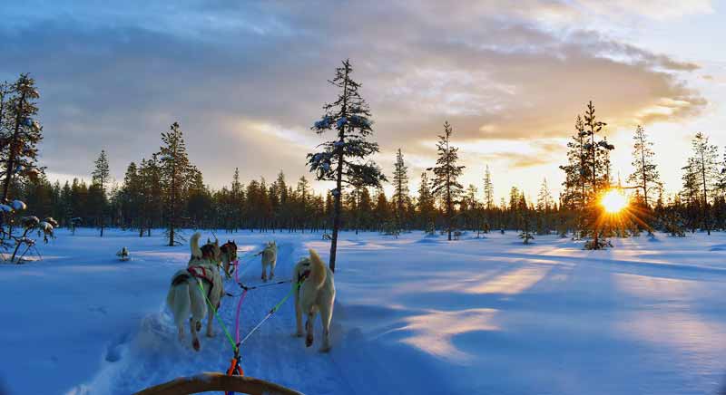 Huskys vor einem Hundeschlitten, die durch eine Winterlandschaft laufen, Stichwort WinterWonderland.
(c) Pixabay.com