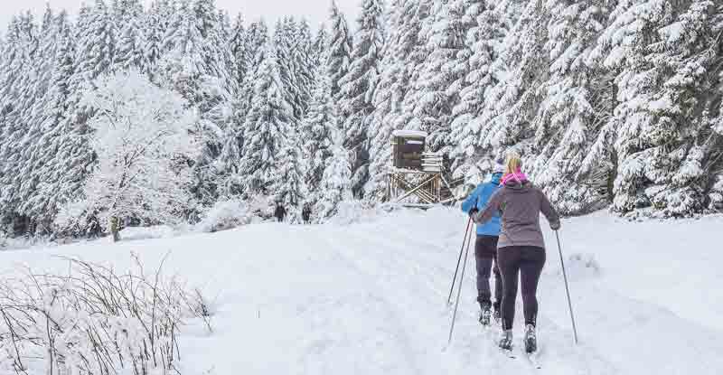 Zwei Langläufer laufen durch eine verschneite Winterlandschaft.
(c) Pixabay.com