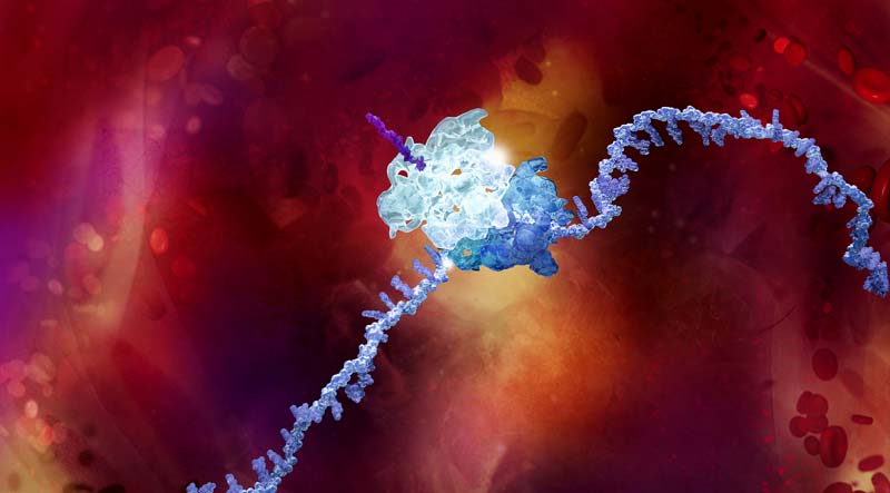 EMA bestätigt: Covid-19 Impfstoff von AstraZeneca sicher & wirksam 1 Darstellung eines Spike Proteins.
(c) AstraZeneca.com