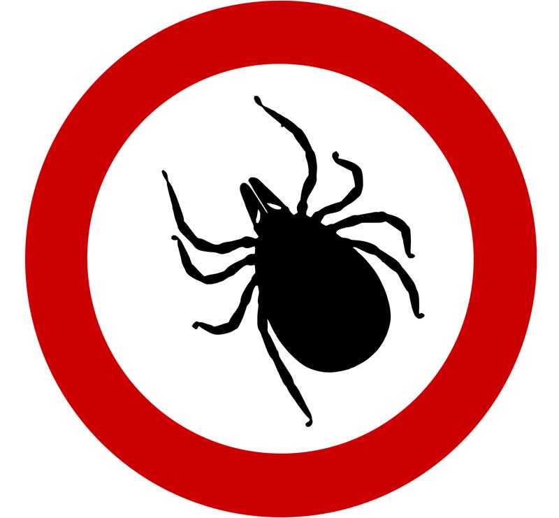 Eine Zecke auf einem Fahrverbotsschild, Stichwort gegen Zecken impfen.
(c) Pixabay.com