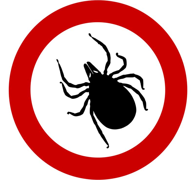 Zecken machen vor Covid-19 nicht Halt – daher unbedingt impfen 1 Eine Zecke auf einem Fahrverbotsschild, Stichwort gegen Zecken impfen.
(c) Pixabay.com