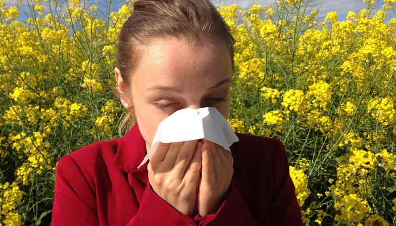 Eine Frau, die sich vor einem gelb blühenden Stauch die Nase putzt.
(c) Pixabay.com