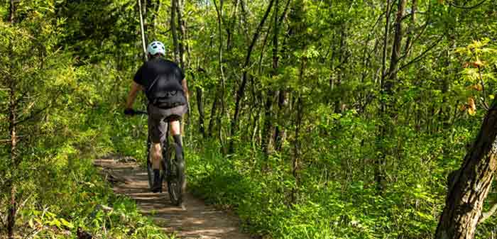 Ein Radfahrer im Wald, Stichwort Mountainbiken.
(c) Pixabay.com