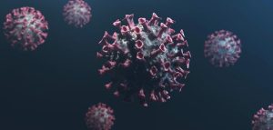 Gesichertes Covid-19-Wissen: Publikationen gesichtet & ausgewertet Nahaufnahme von Corona-Viren. (c) Pixabay.com