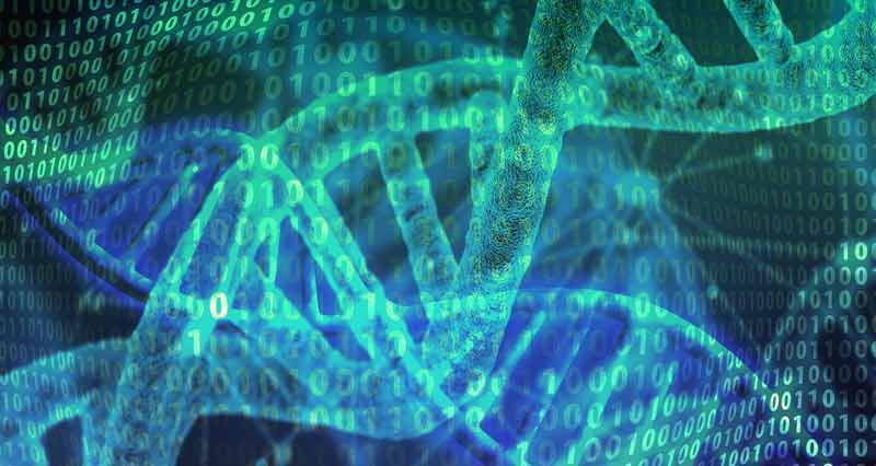 Illustration: eine menschliche DNA, dahinter binäre Zahlencodes.
(c) Pixabay.com