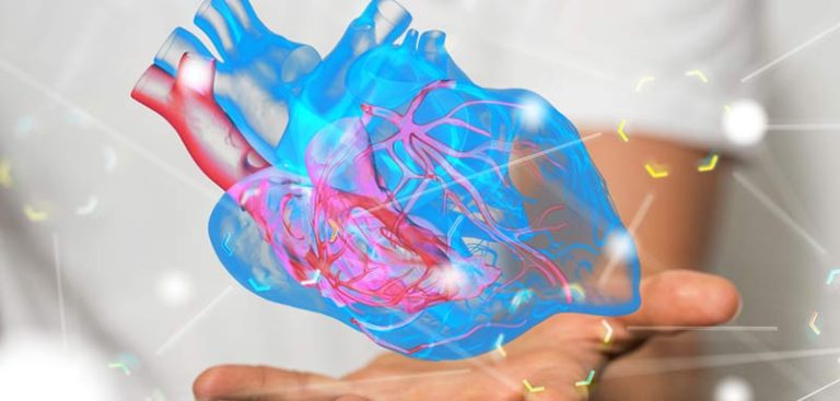 Illustration: ein digitales 3D-Modell eines Herzens auf der Handfläche eines Arztes. (c) Adobe Stock