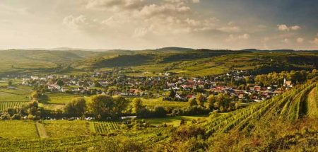 Kamptal. (c) Niederösterreich-Werbung/ Michael Liebert