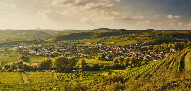 Kamptal. (c) Niederösterreich-Werbung/ Michael Liebert