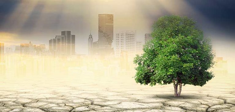 Ein einzelner grüner Baum auf einer vertrockneten Fläche vor einer im Smog liegenden Stadt. (c) AdobeStock