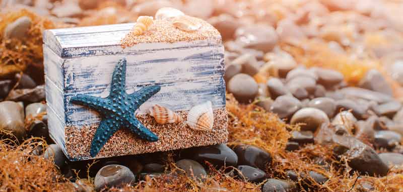 Ein Seestern auf einer Schatulle auf einem Strand. (c) AdobeStock