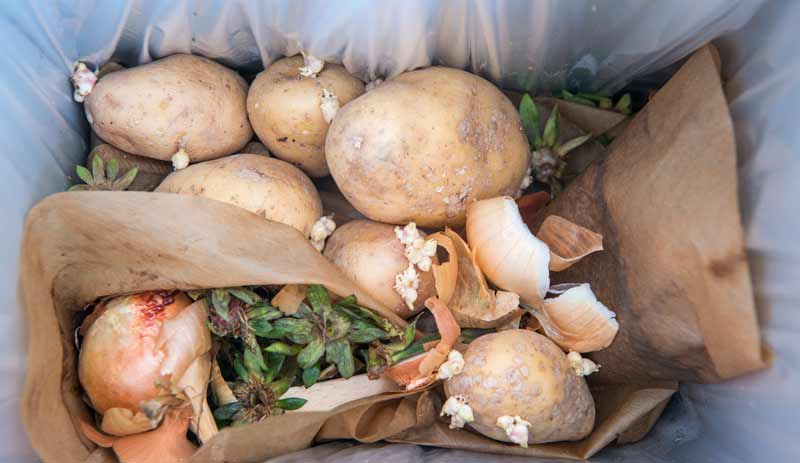 Lebensmittel im Müll, Stichwort Lebensmittelverschwendung.
(c) AdobeStock