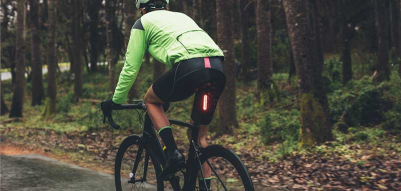 Ein Radfahrer auf einer herbstlichen Straße entlang eines Waldes. (c) AdobeStock