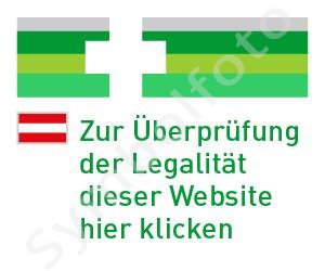 EU-Sicherheitslogo zur Überprüfung der Legalität von Online-Apotheken.
(c) BASG