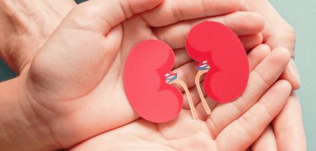 Nierenleiden – unerkannte Volkskrankheit mit hoher Dunkelziffer 2 kleine aus Karton ausgeschnittene Nieren in den offenen Händen eines Mannes. (c) AdobeStock