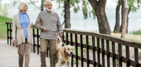 Ein älteres Paar mit einem Hund über eine Brücke spazierend. (c) AdobeStock