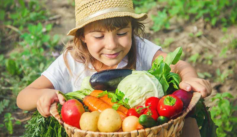 Ein Kind mit Hut, das einen Korb mit diversen Gemüsesorten hält.
(c) AdobeStock