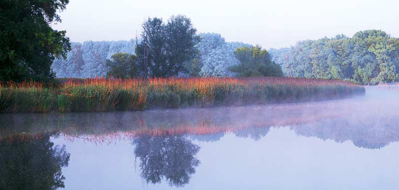 Schilfinsel im herbstlichen Nationalpark Donau-Auen. (c) ÖBf/ F. Kovacs