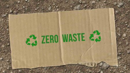 Ein Karton auf der Erde, auf dem "Zero Waste" steht. (c) AdobeStock
