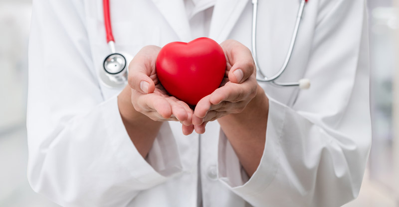 Die Hände einer Ärztin, die ein rotes Herz hält, Stichwort World Heart Day.
(c) AdobeStock