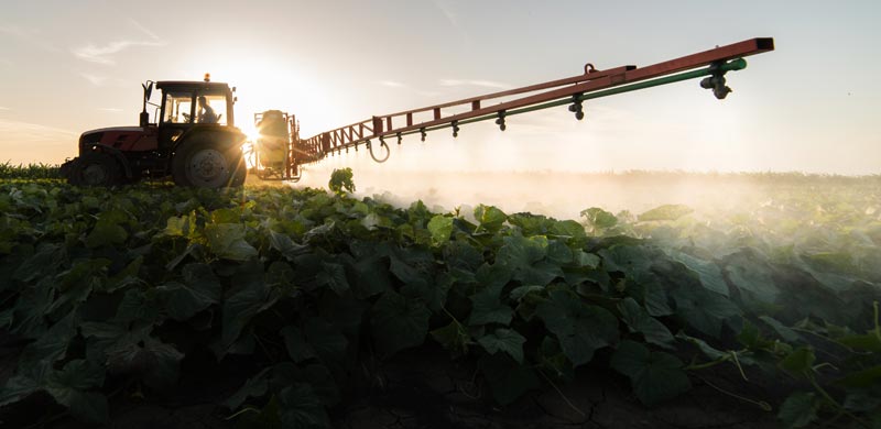 Ein Bauer auf seinem Traktor beim Spritzen eines Gemüsefeldes, Stichwort Pestizid.
(c) AdobeStock