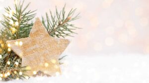 Weihnachtsstern und Tannenzweig. (c) AdobeStock