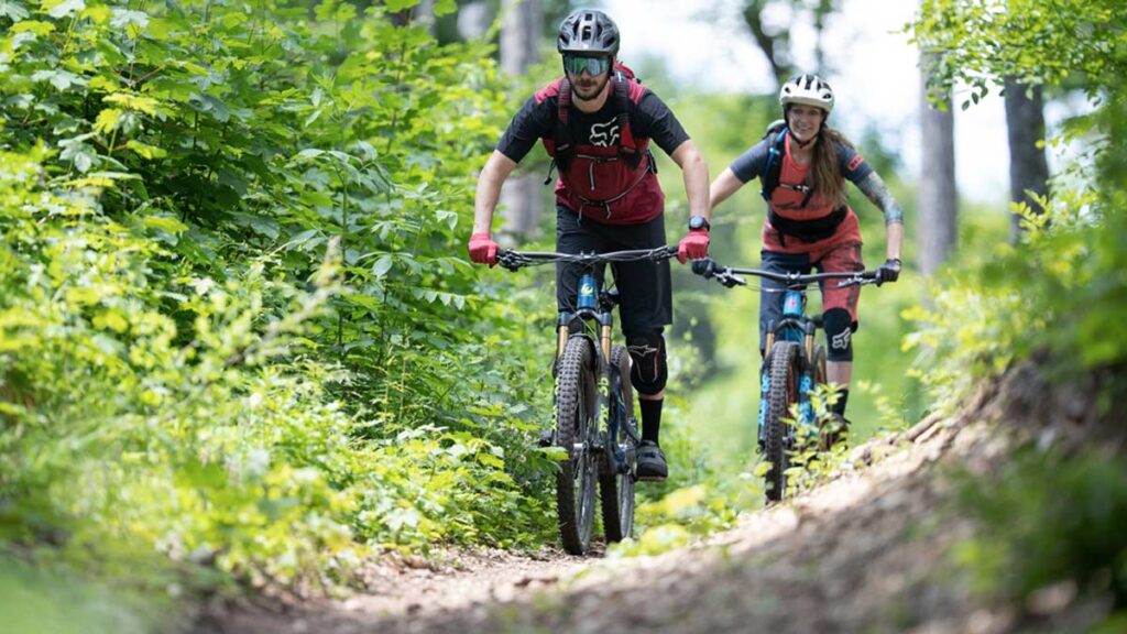 Zwei Mountainbiker auf einem Forstweg. (c) Niederösterreich Werbung/ M. Frühmann