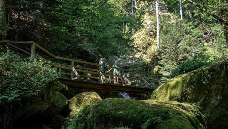 Die stille Revolution des Wanderns: Flachland und sanfte Hügel im Trend 2 3 Frauen auf einem Steg in der Wolfsschlucht Bad Kreuzen
(c) Tourismusverband Donau Oberösterreich-Sintwerk GmbH