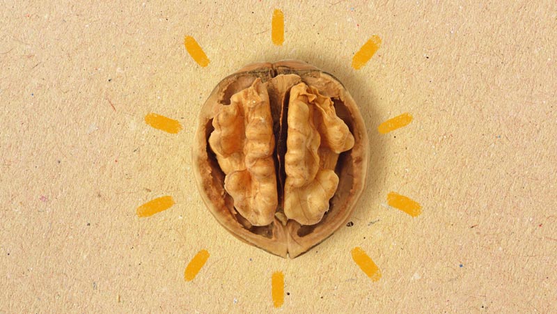 Brain-Food & Kaffee: Die 5 besten Kombinationen gegen Entzündungen 1 Eine geöffnete Walnuss auf beigem Hintergrund, umgeben von gelb gezeichneten Strahlen, die an eine leuchtende Glühbirne oder ein Gehirn erinnern.(c) AdobeStock