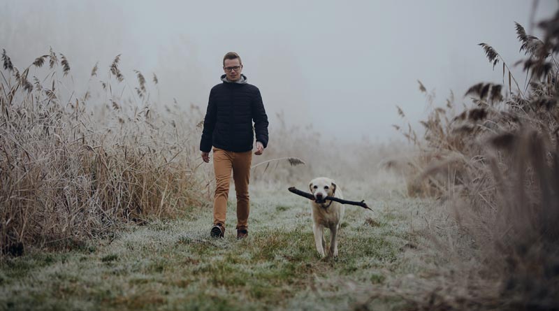 Ein Mann geht mit seinem Hund auf einer frostigen Wiese bei nebligem Wetter spazieren, um den Winterblues zu besiegen.(c) AdobeStock