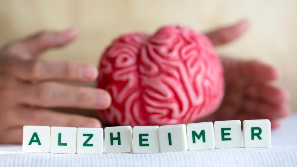 Alzheimer Prävention 2026: Die radikale Wahrheit über neue Therapien und Ihre 45%-Chance Ein pinkfarbenes Modell eines menschlichen Gehirns, das von zwei Händen schützend umschlossen wird. Im Vordergrund stehen weiße Spielsteine mit grünen Buchstaben, die das Wort "ALZHEIMER" bilden. (c) AdobeStock