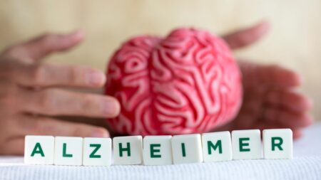 Ein pinkfarbenes Modell eines menschlichen Gehirns, das von zwei Händen schützend umschlossen wird. Im Vordergrund stehen weiße Spielsteine mit grünen Buchstaben, die das Wort "ALZHEIMER" bilden. (c) AdobeStock