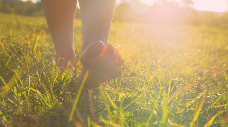 Barfußschuhe als orthopädisches Risiko? Segen und Fluch des Trends 2 Nahaufnahme von nackten Füßen, die im warmen Gegenlicht der Abendsonne durch eine grüne Wiese gehen, Stichwort Barfußschuhe.(c) AdobeStock