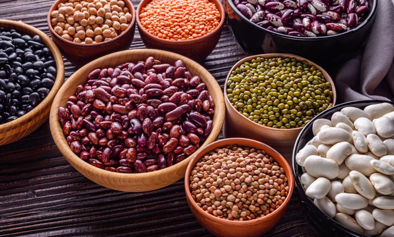 Verschiedene Tonschalen voller roher Hülsenfrüchte, darunter rote Linsen, Kichererbsen, Kidneybohnen, schwarze und weiße Bohnen auf dunklem Holzgrund.(c) AdobeStock